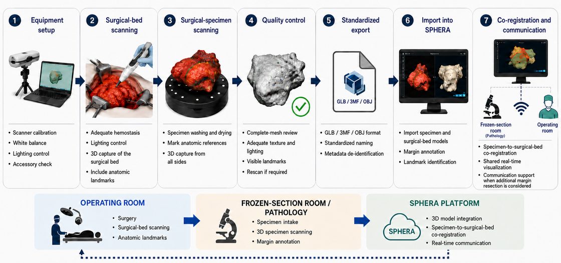 Intraoperative 3D protocol workflow: equipment setup, surgical-bed and surgical-specimen scanning, quality control, standardized export, import into SPHERA, and co-registration across the operating room, pathology and the platform.