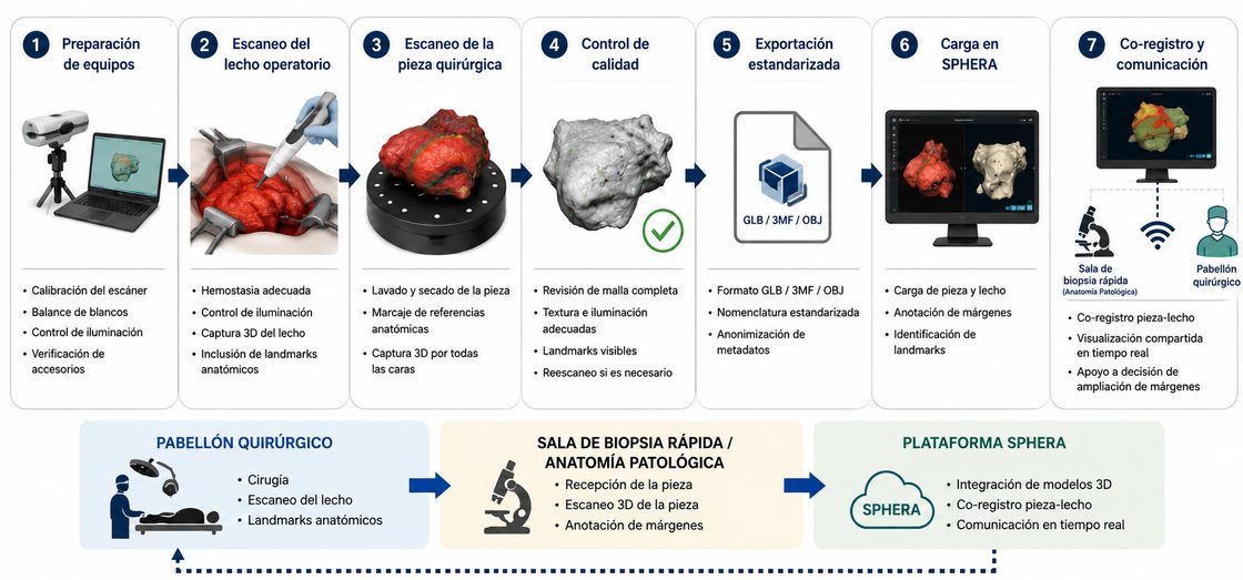 Flujo del protocolo intraoperatorio 3D: preparación de equipos, escaneo del lecho operatorio y de la pieza quirúrgica, control de calidad, exportación estandarizada, carga en SPHERA y co-registro entre pabellón, anatomía patológica y la plataforma.