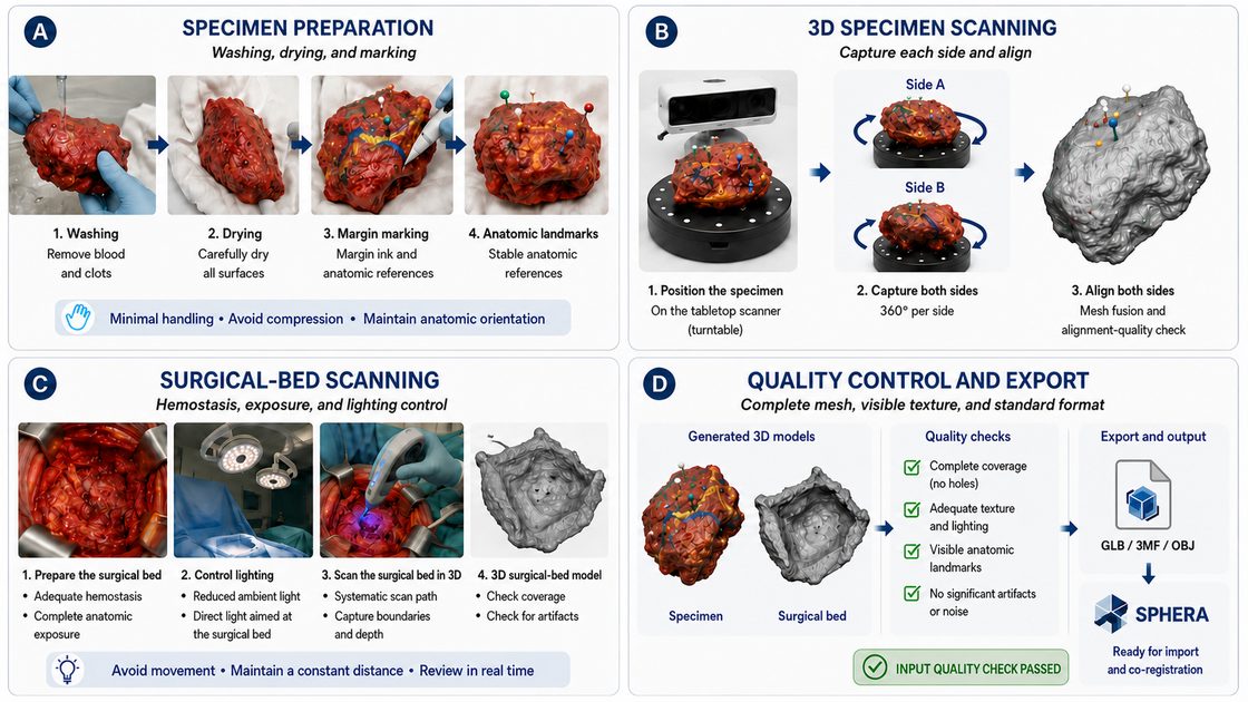 Scanning protocol: specimen preparation with washing, drying and marking; 3D specimen scanning side by side; surgical-bed scanning with lighting control; and quality control with standardized export to SPHERA.